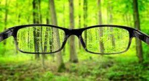 blurry image of forest, pair of glasses , clear forest when looking through glasses